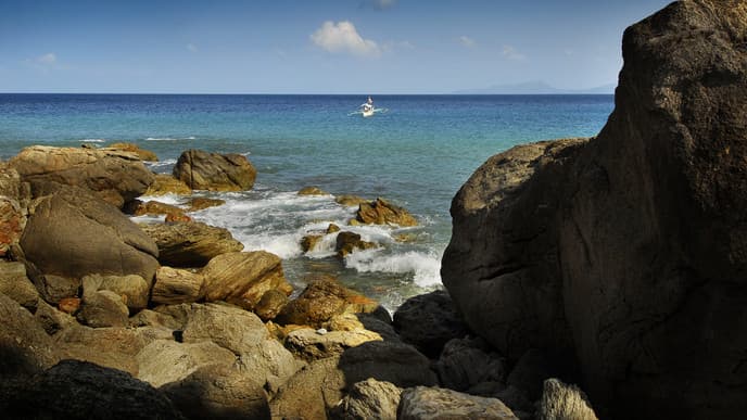 Coconut plantation discoveries