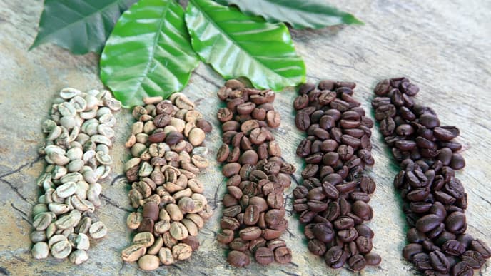 Tiefe Einblicke in eine Kaffeefarm
