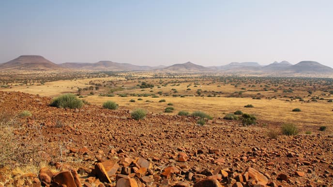 Felszeichnungen der San in Twyvelfontein
