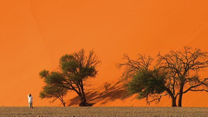 Das Dünenmeer von Sossusvlei