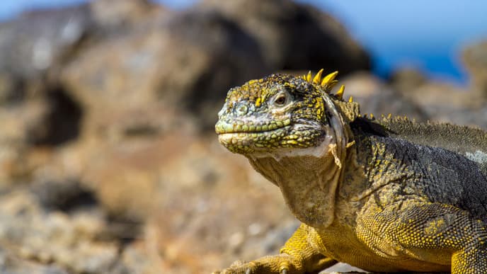 Besuch einer unbewohnten Insel
