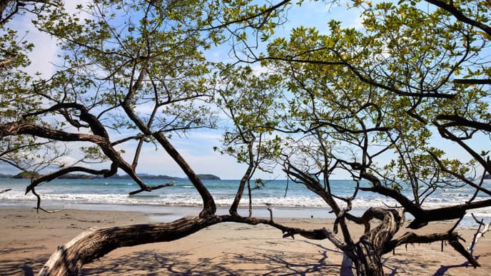 One last Pacific Coast sunset