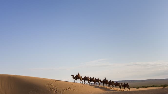 Camel ride through the dunes