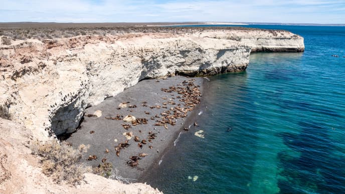 Catch Your Flight to Puerto Madryn