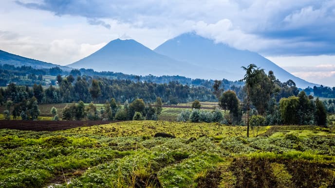 Summit Muhungwe Mountain