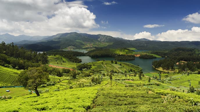 Naturlandschaft der Hill Station Ooty