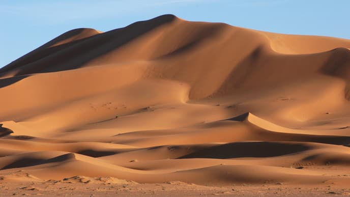 Kameltrekking in der Sahara