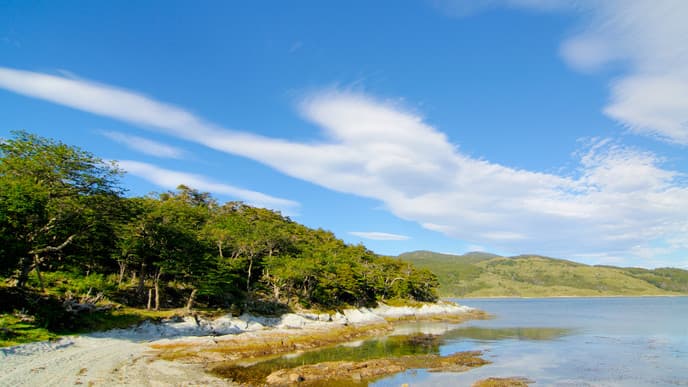 Tour des Tierra del Fuego Nationalparks