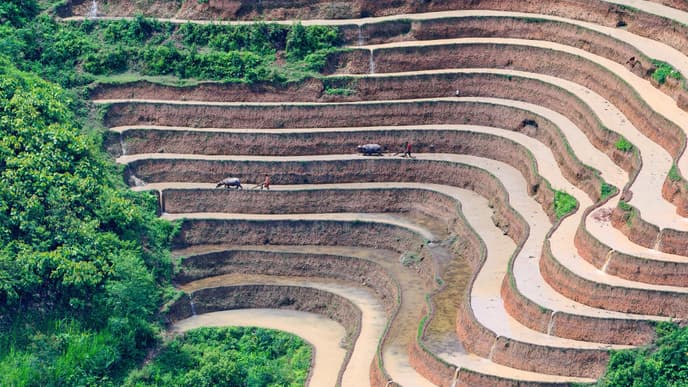 Entspannte Panoramafahrt nach Hanoi