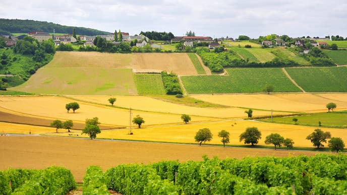 Explore the beautiful town of Orleans