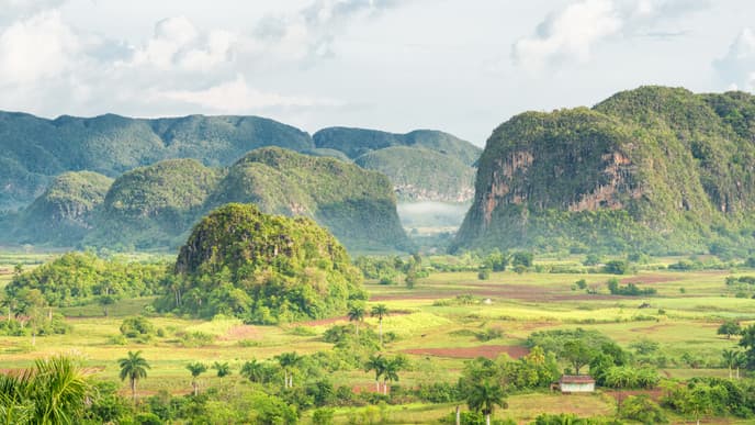 Highlights of Viñales & home-cooked dinner