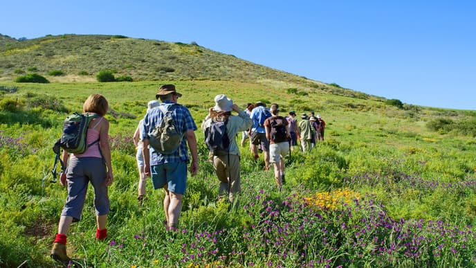 Hiking Mount Zebra's trails