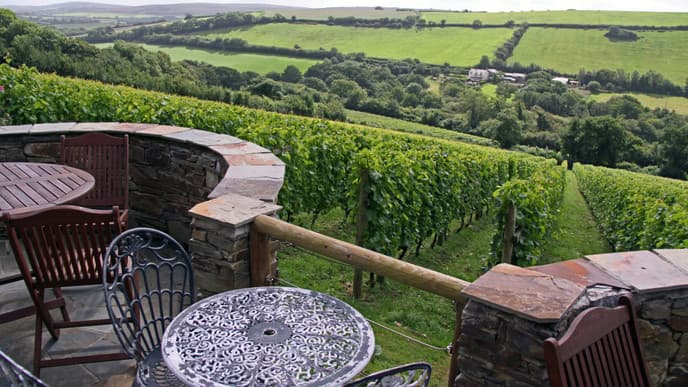 Visit Epernay And Enjoy Wonderful Tastings