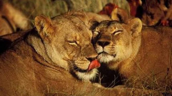 Die Ankunft im Etosha National Park