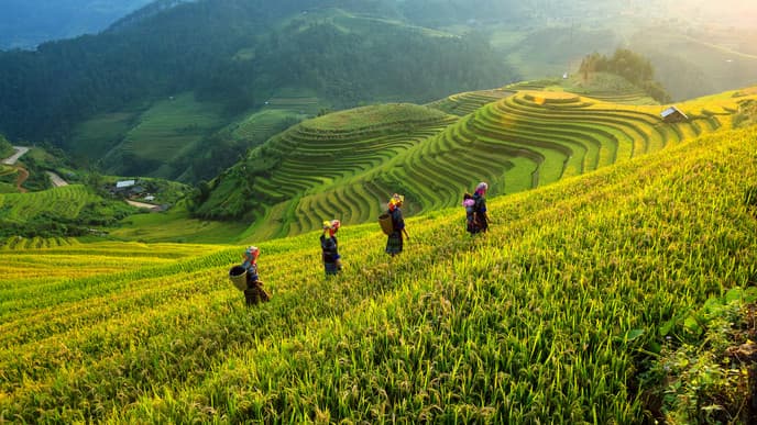 Transfer to the Topas Ecolodge and Meet the Red Dao Women