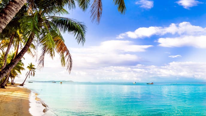 Enjoy the Sun and Sand