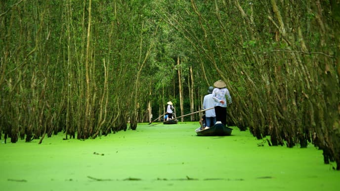 Mysthischer Mangrovenwald