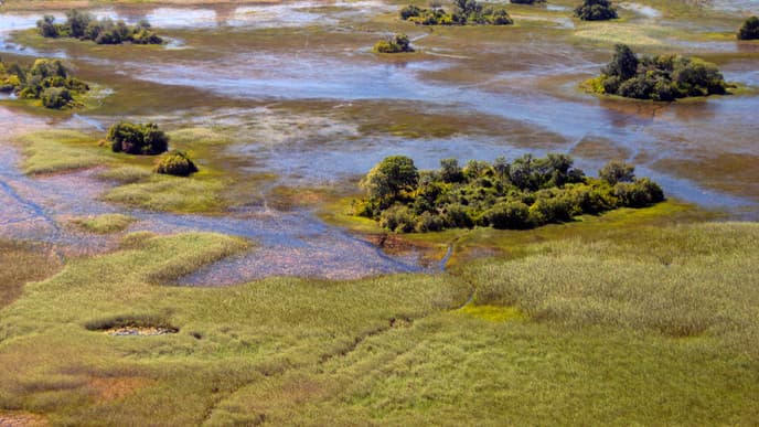 Explore the Okavango Delta
