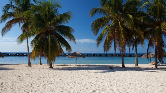 Die Sumpfgebiete von Zapata erkunden