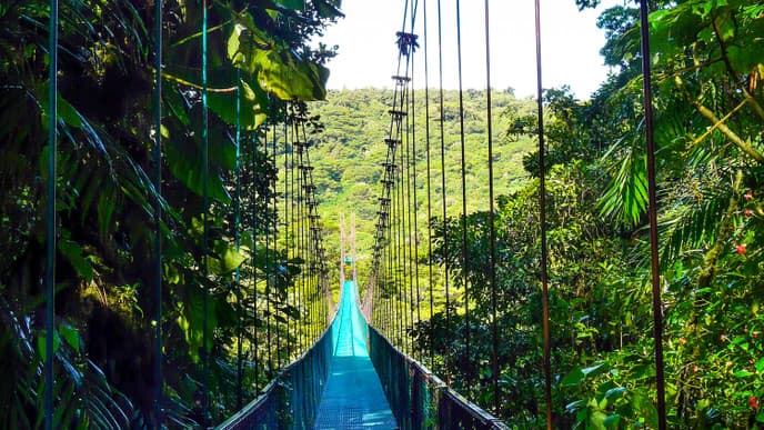 Marvel at the Gorgeous Cloud Forests