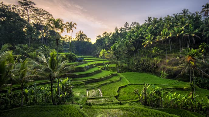 Willkommen in Indonesien!
