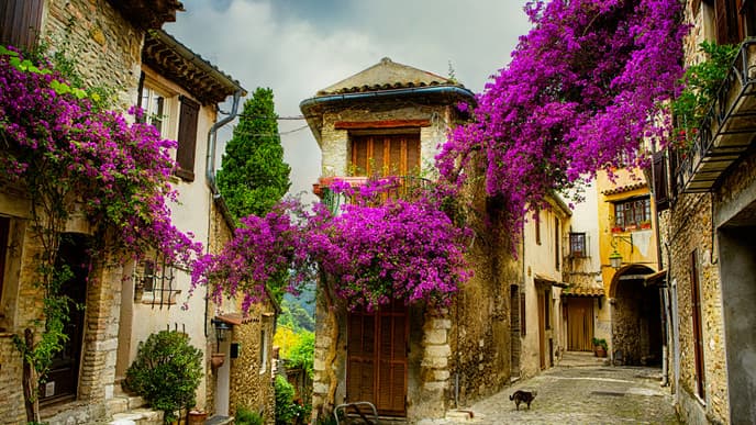Journey to the mesmerizing French Riviera
