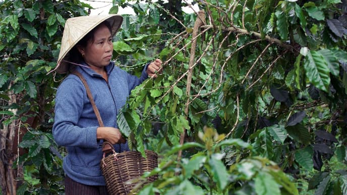 Das Leben in Laos