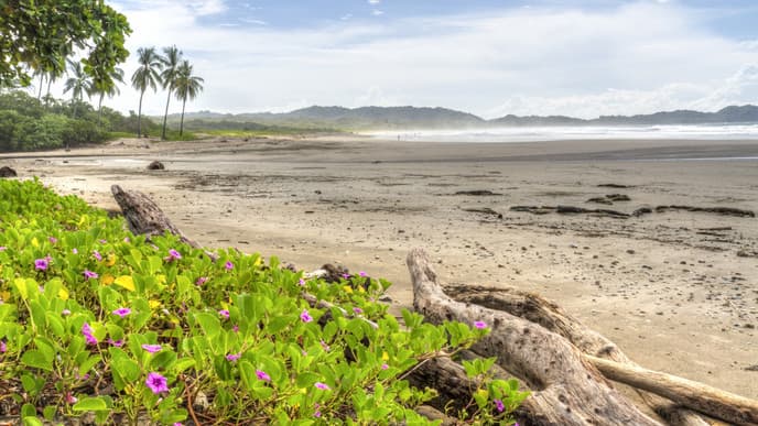 Mindfulness and yoga