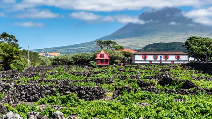 Discover Pico Island's lava caves & lagoons