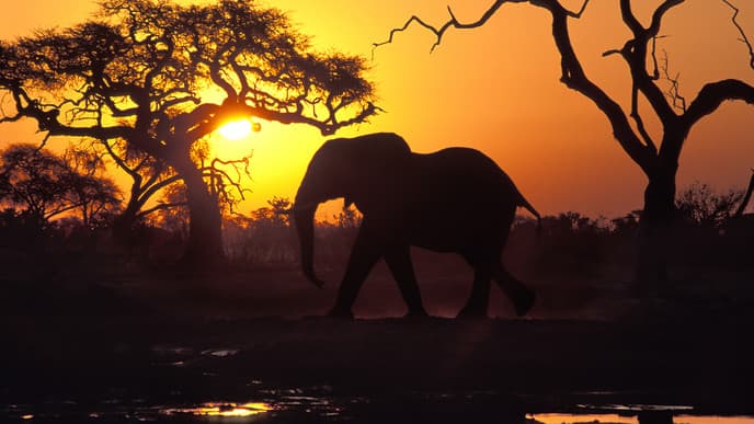 Departure from Chobe National Park