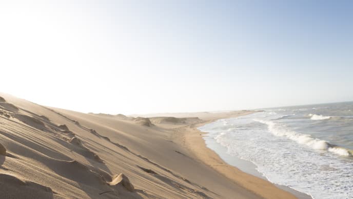 Eine wundervolle Oase in der Wüste