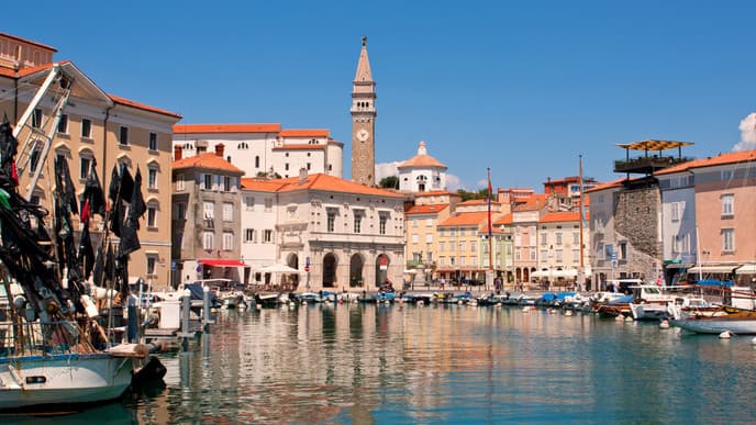 Slovenian wine discovery