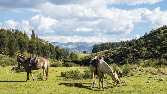 Ride Your Way through the Durmitor Mountains