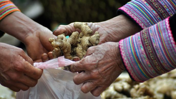 At leisure in your eco-lodge