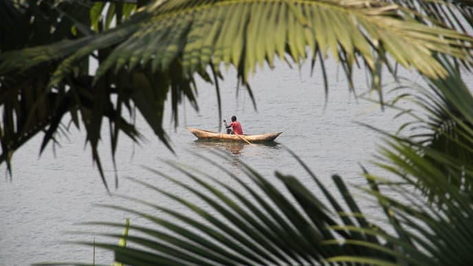 A morning of kayaking & a coffee tour