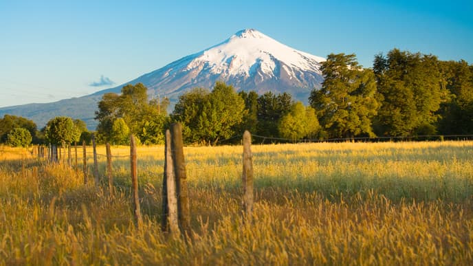 Ausritt durch das Villarica-Reservat