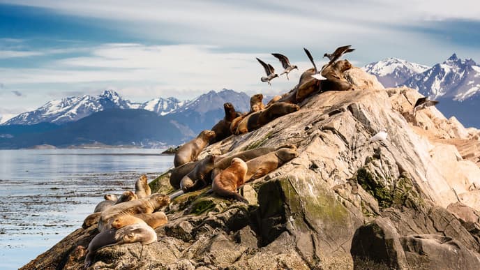 Segeln im Beagle Kanal