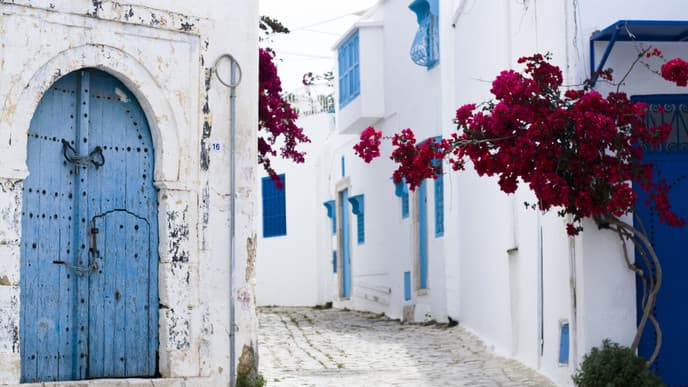 Explore the beautiful Village Sidi Bou Said