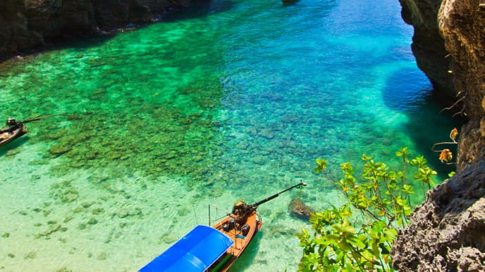 Chance to Discover the Colorful Marine Life