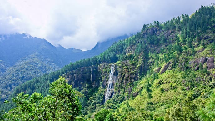 Hike to Bambarakanda Falls