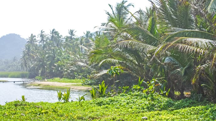 At leisure in Tayrona National Park