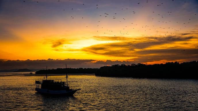 Enjoy a farewell sunset dinner