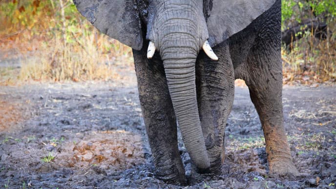 Welcome to Malawi