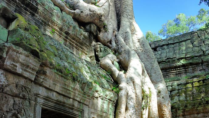 Magical temple complexes