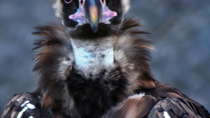 Ausflug in den Bioparque La Reserva