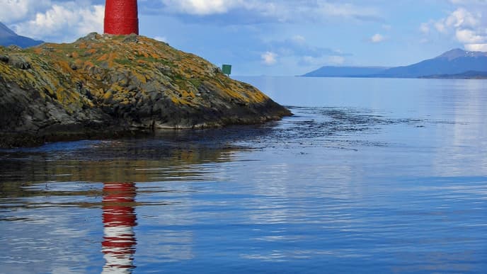 Encounter Sea Lions Today