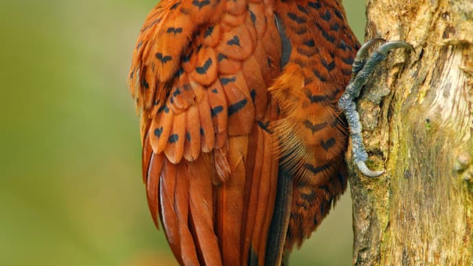 Erkundungen in der Natur