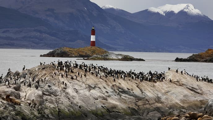 Pinguinkolonien und Fahrt durch den Beagle-Kanal
