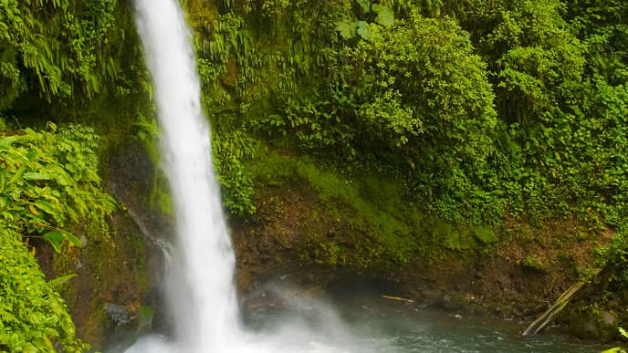 Try the Thrill of Whitewater Rafting