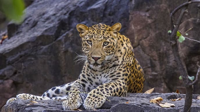 Sehenswertes auf dem Weg zum Nationalpark Ranthambhore